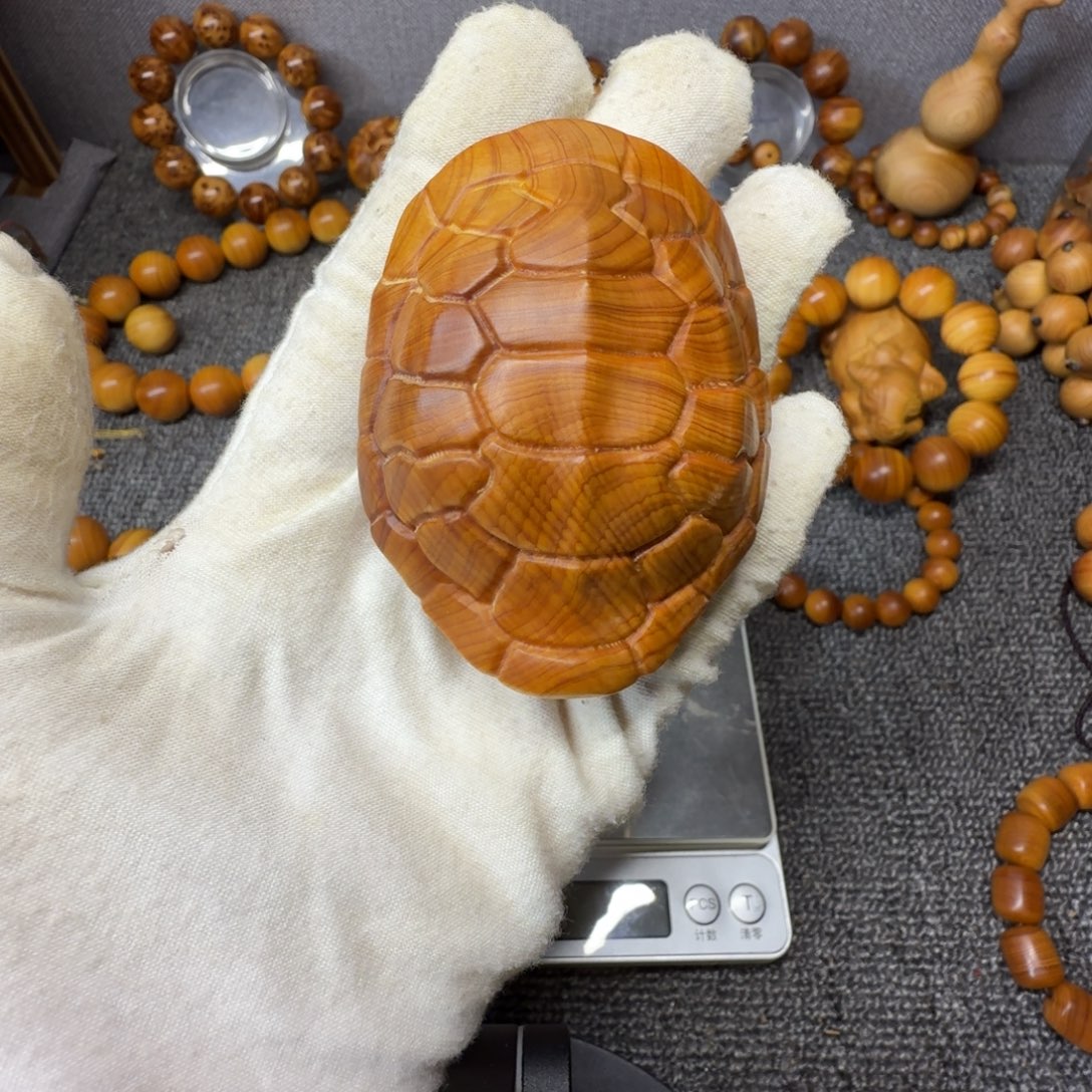 柏木（崖柏）太行崖柏富甲天下