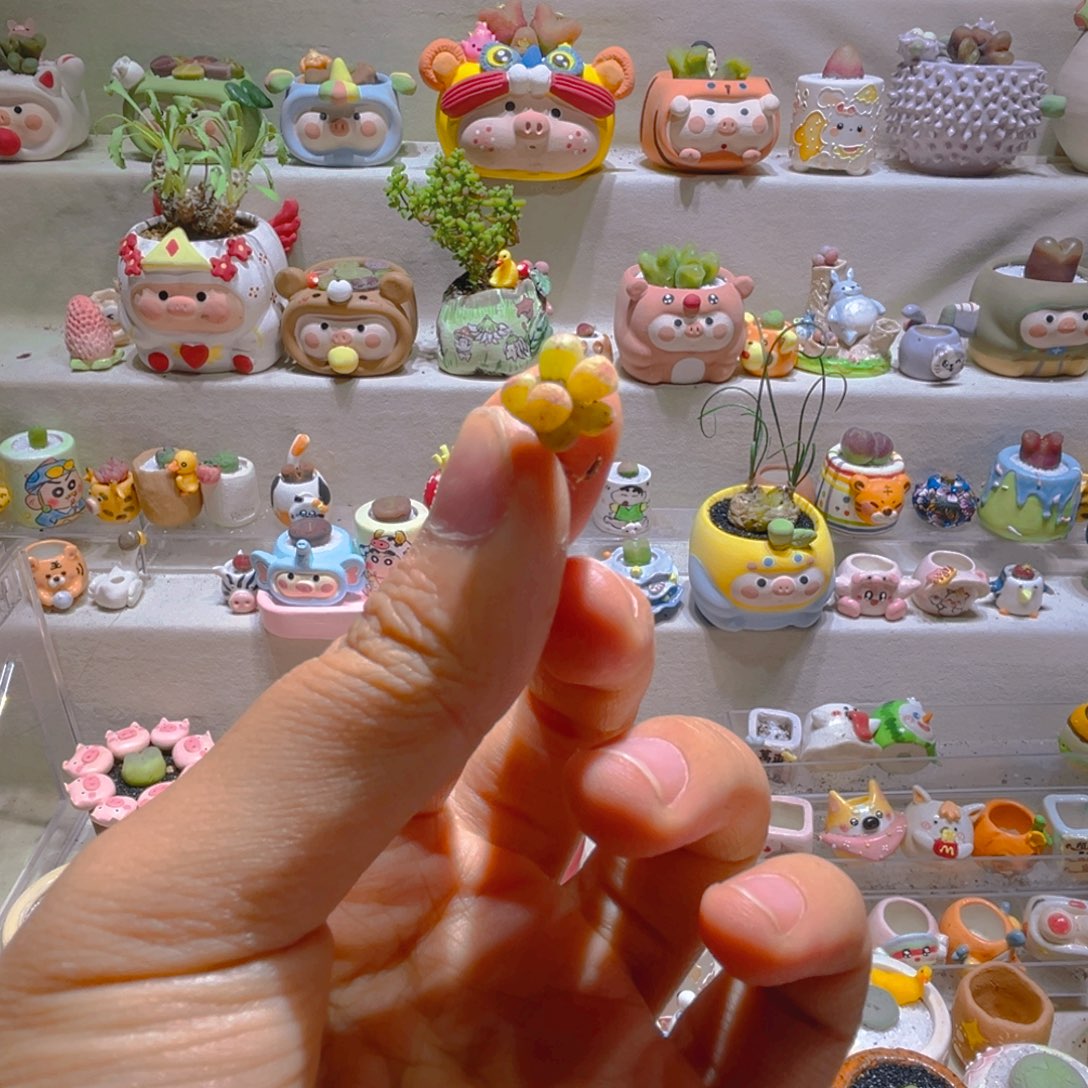 王**！大帅专属折扣链接拍拍