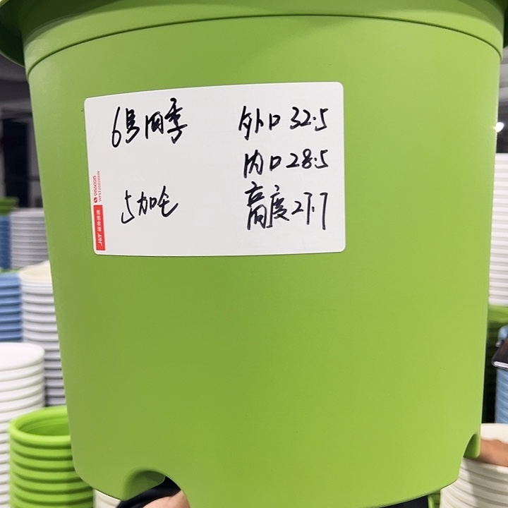 特价四季6号口32高27白色7只无托