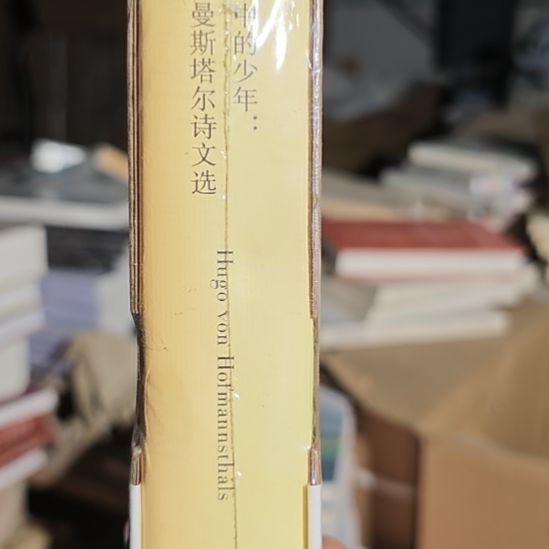风景中的少年霍夫曼斯塔尔诗文选。