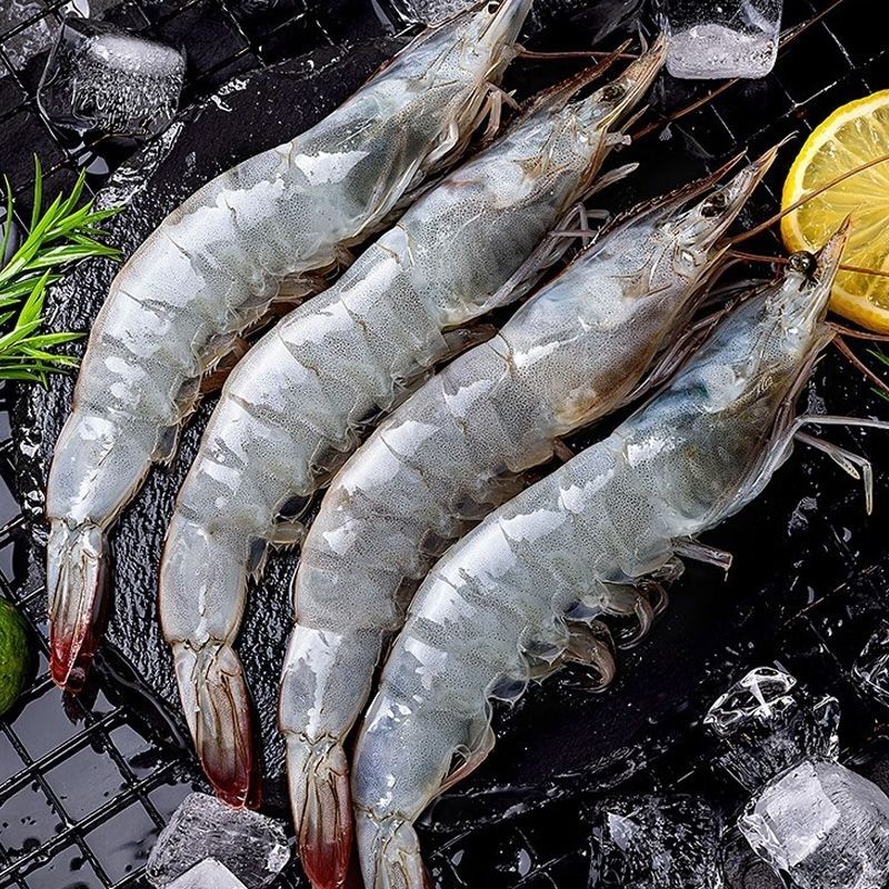 海水大虾4斤 肉质鲜嫩大个头海水大虾单只15~18cm 4斤共50~60只海虾