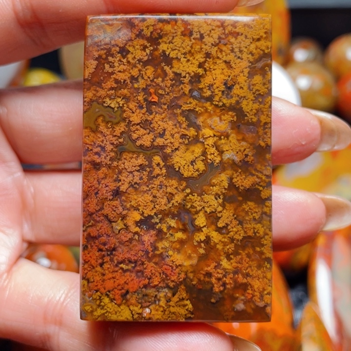 玛瑙/玉髓战国红玛瑙挂件未镶嵌狼**子