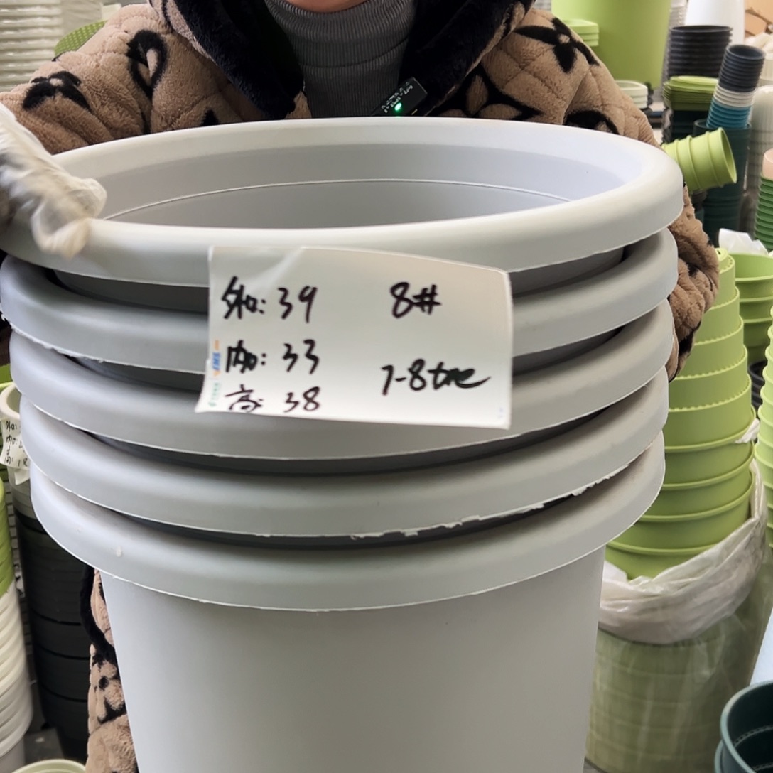 四季盆8#灰白色5个无托