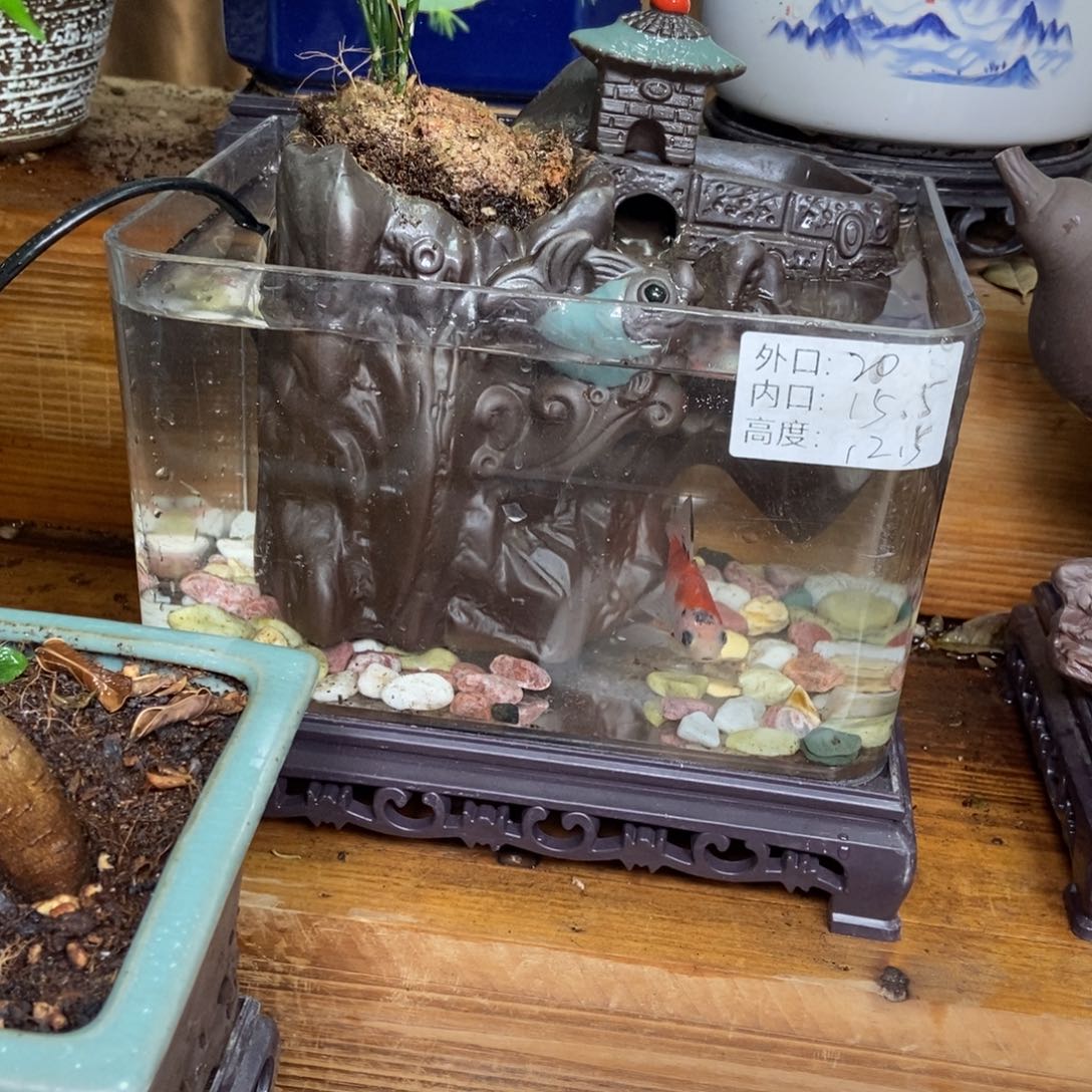 瓷片陶瓷花盆陶瓷艺术