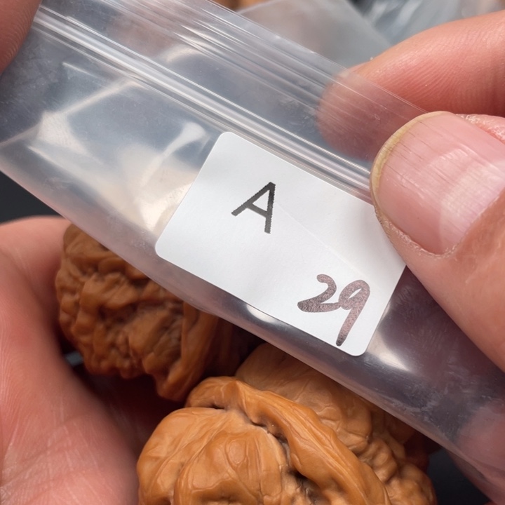 文玩核桃吊坠风**飞蛤蟆41