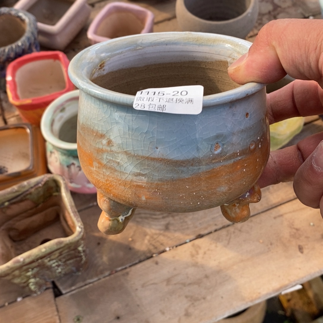 20号花盆内8.5高9