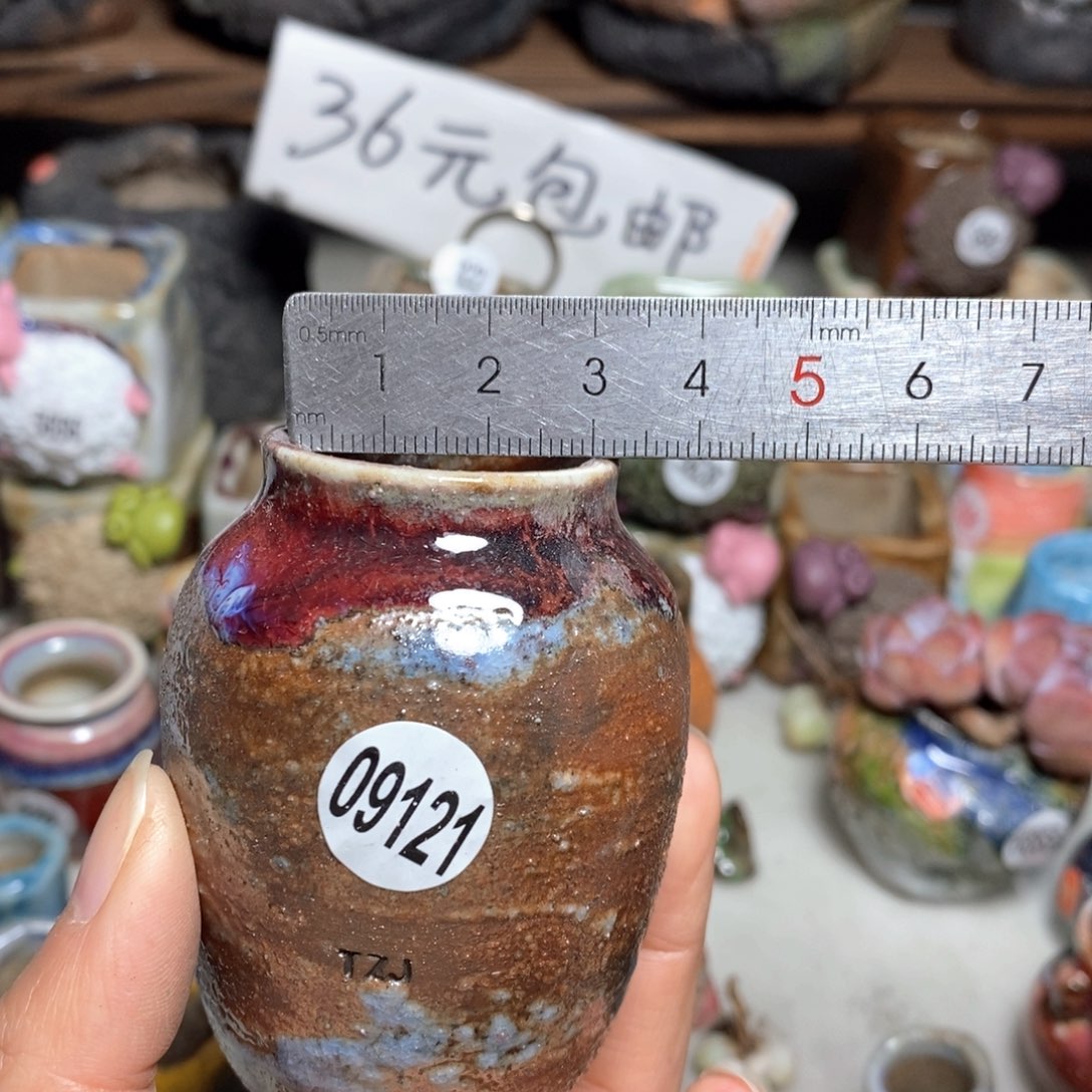 拍5送一个小礼物