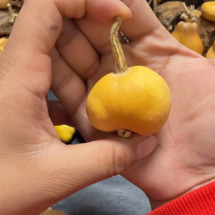 旋***姐印88888888888888888