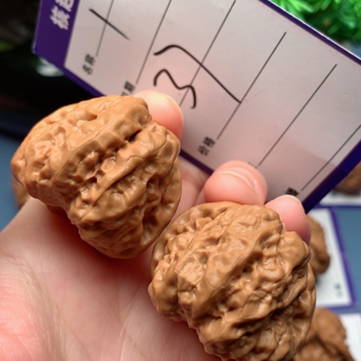 【闪购商品】文玩核桃把件蛙蛙