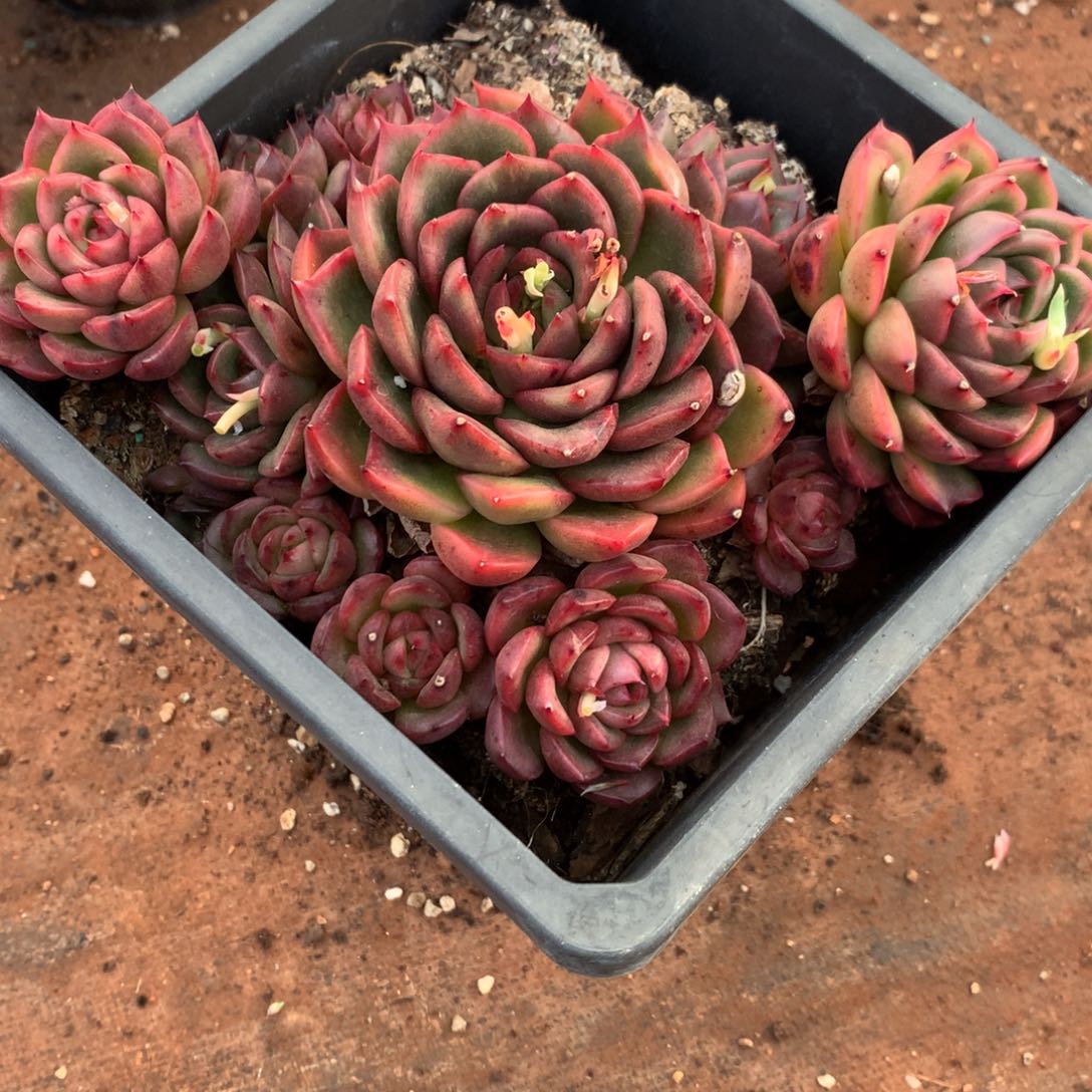 2234不包掉头整散特价处理