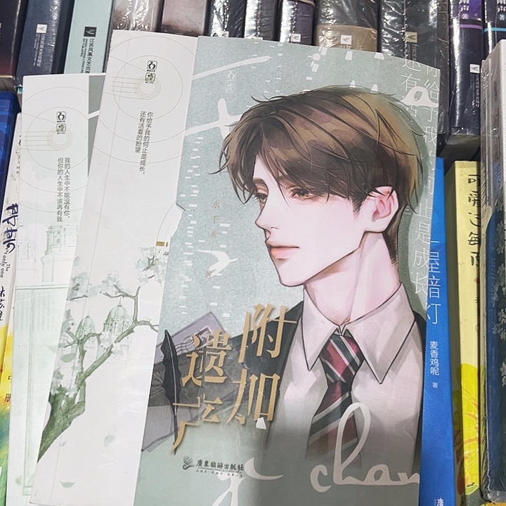 附加遗产全新全套两本带周边