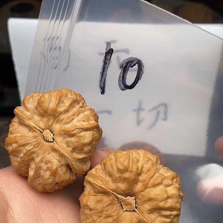 吊坠文玩核桃573375735735735835735