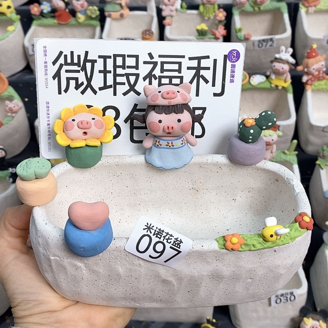 米诺多肉花盆097