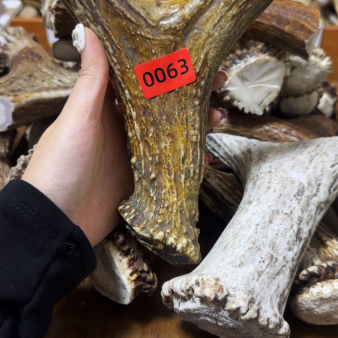 鹿骨手串/手链弹弓0063 长16 弓13 柄 2.8