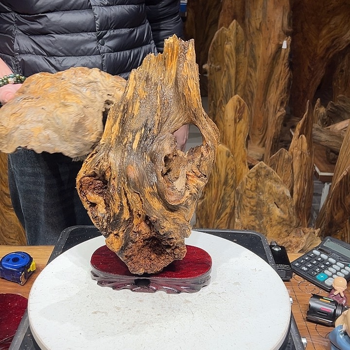 松木（琥珀木）巴****）