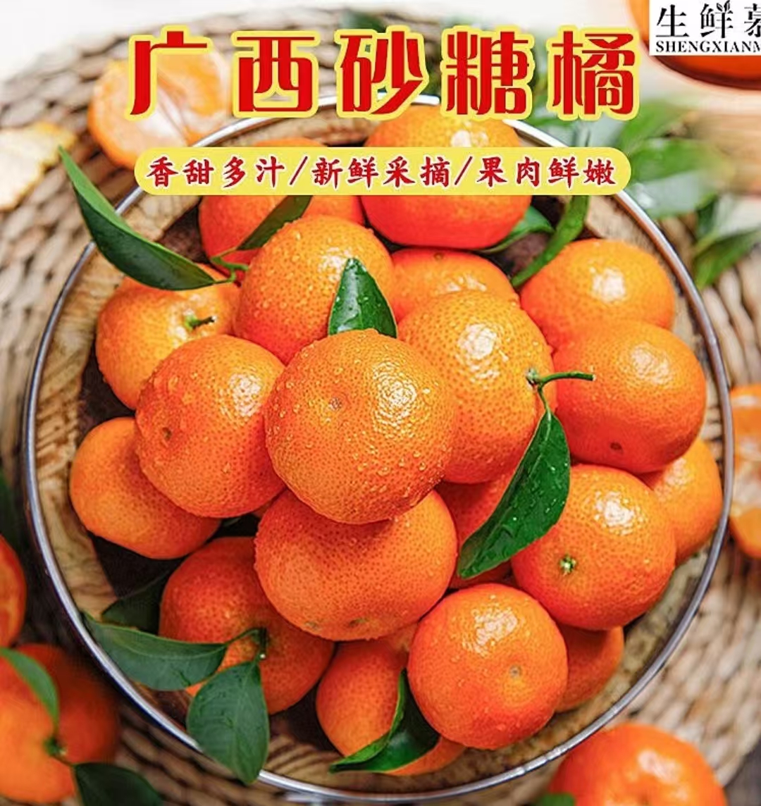 正宗原产地砂糖橘口感多汁新鲜水果 现采现发g