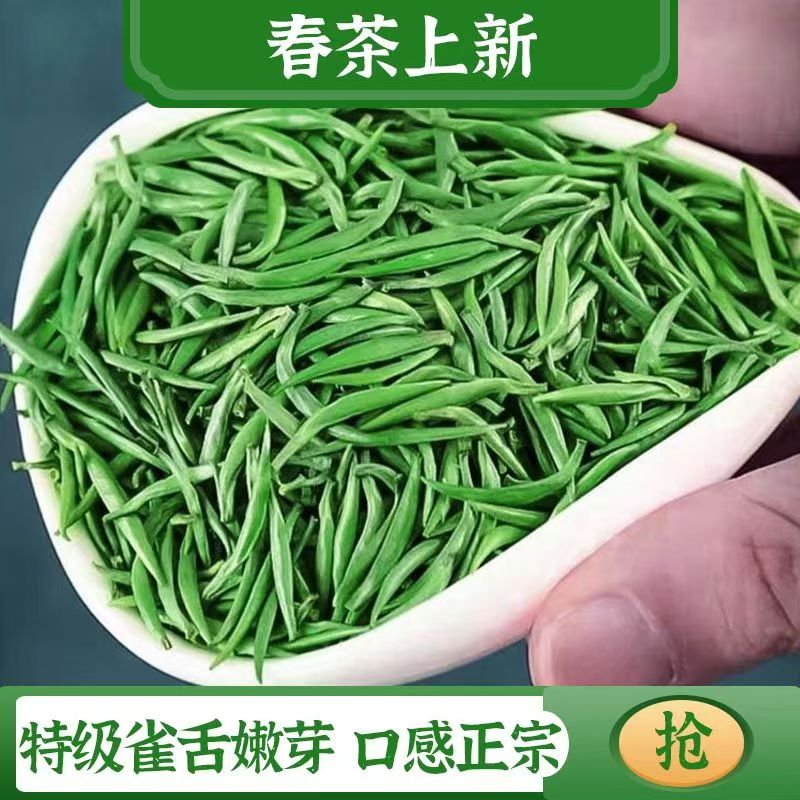 【明前小米芽雀舌】贵州湄潭明前雀舌翠芽竹叶绿茶高山云雾兰花香