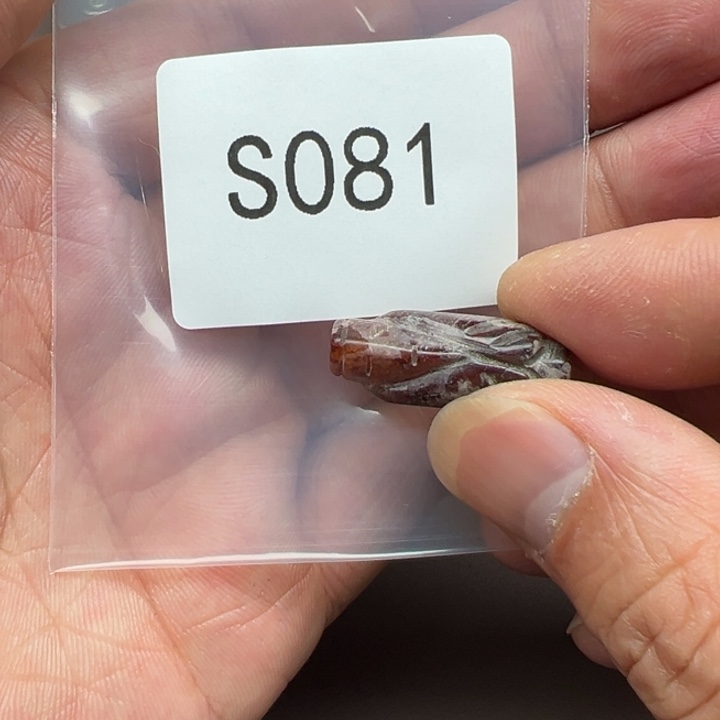 菩提根/象牙果手串