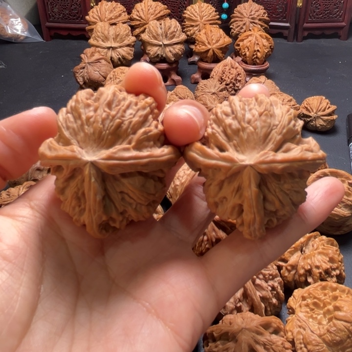 白狮子丁字奔41尺寸核桃哈哈哈哈哈哈
