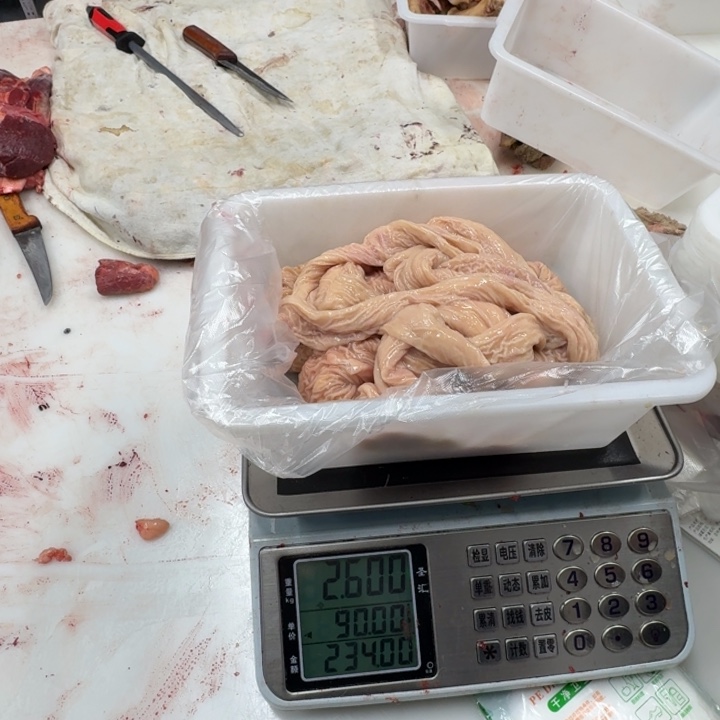 *****12中国大陆中肠小肠