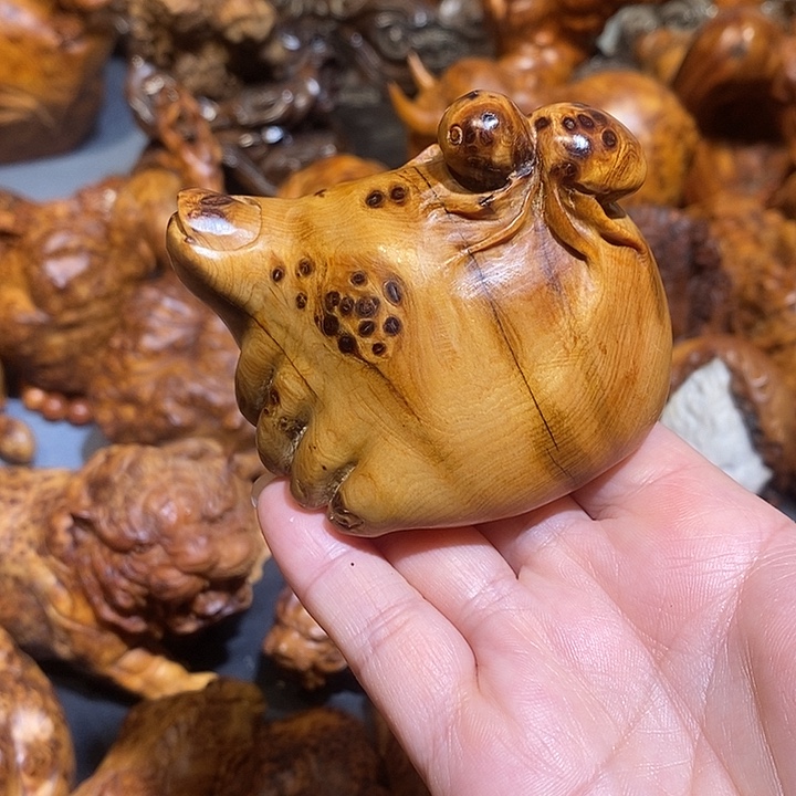 柏木太行崖柏陈化