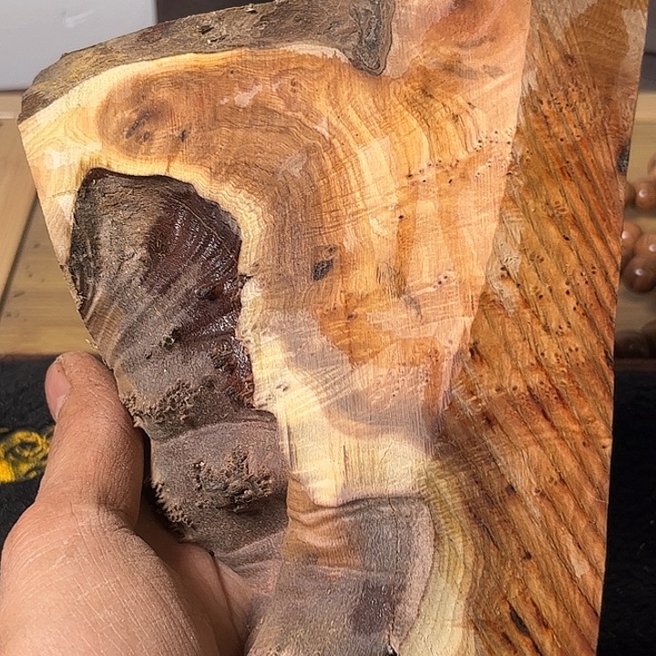 缘***&香榧木我们的确是一个人的生活方式