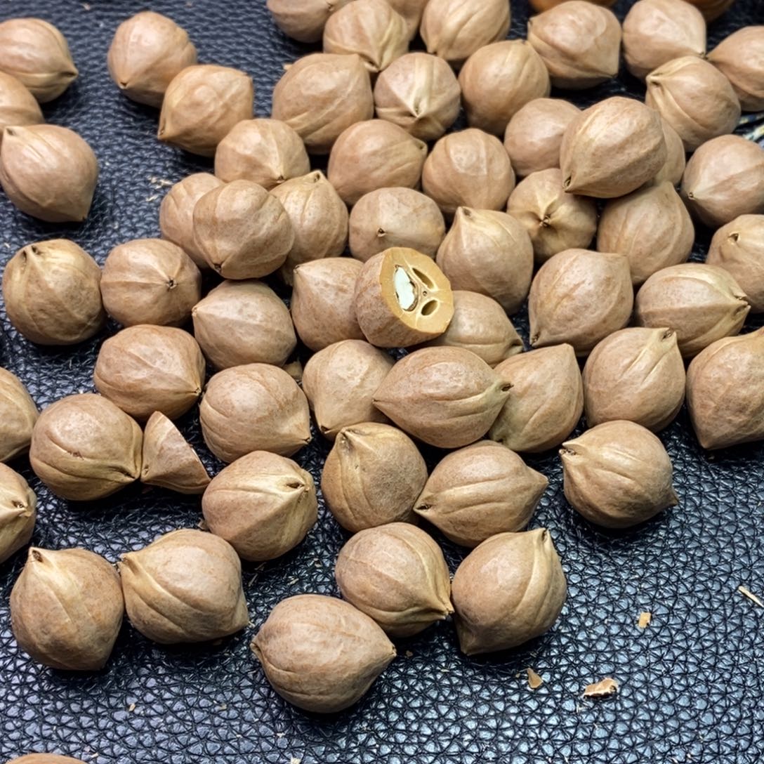 ****宾手串/手链橄榄核1