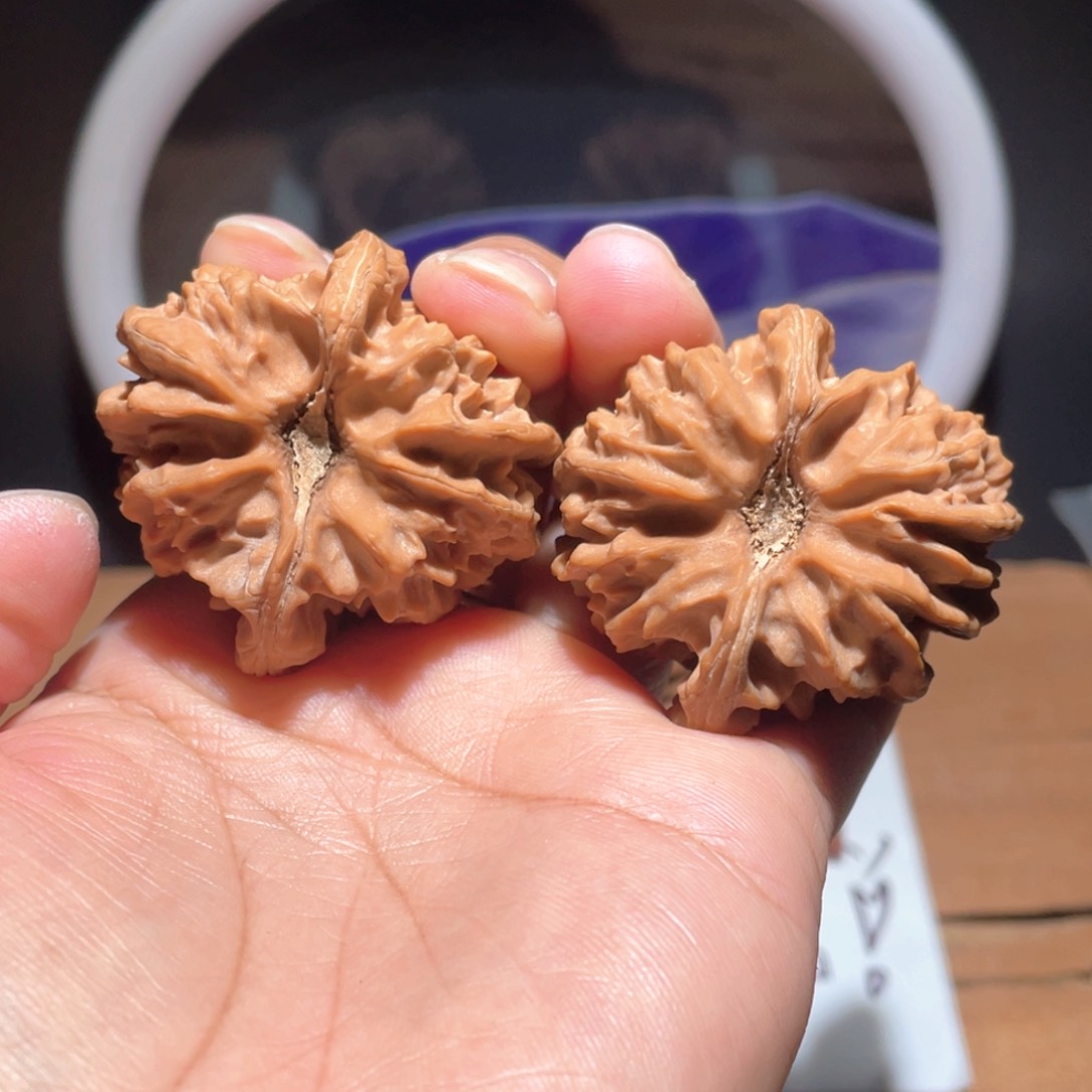 高**止S079 41尺 大龙