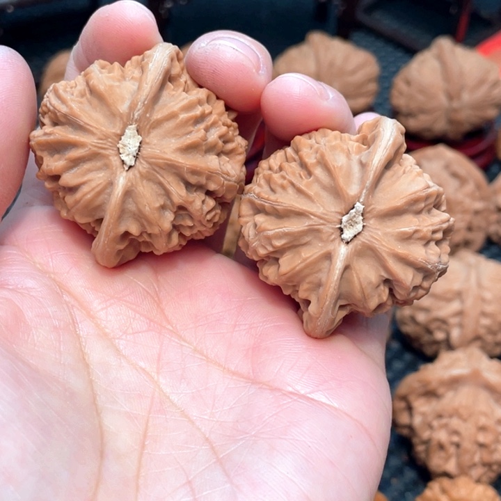 朝*?桃心型宫灯4.2全品无修。