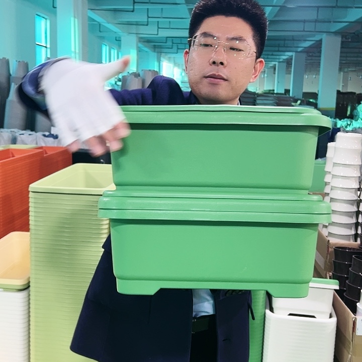 特价小菜盆长38宽28高14果绿3套