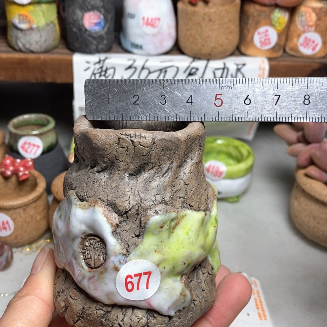 红陶拍5送一个小