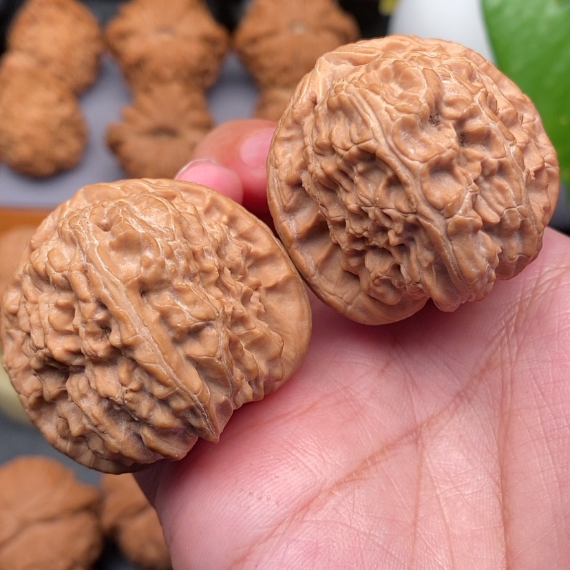 【闪购商品】文玩核桃把件白狮子全品39