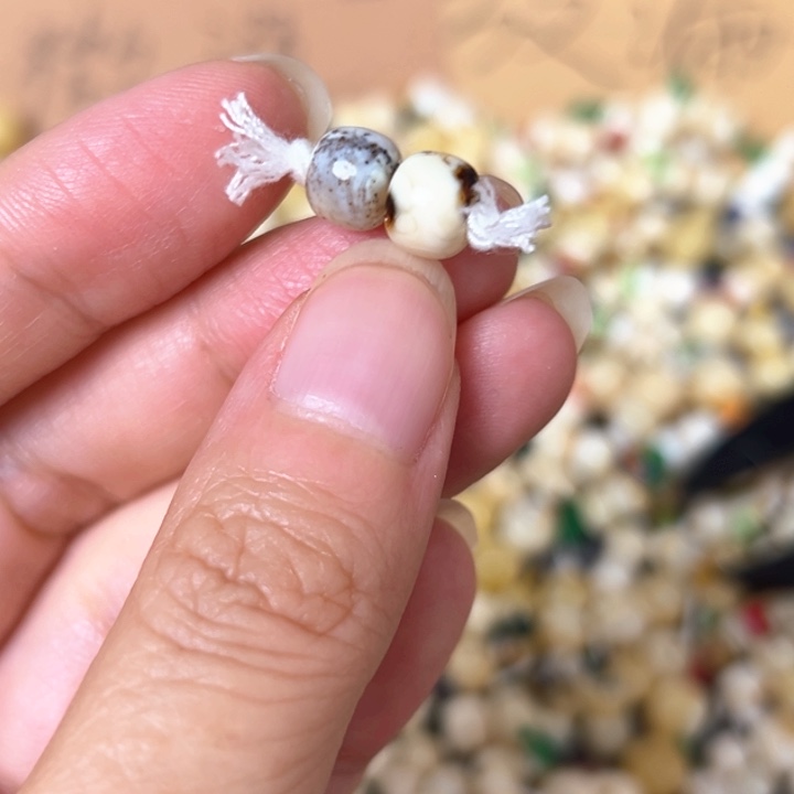 未镶嵌蜜蜡裸石7.6mm一对