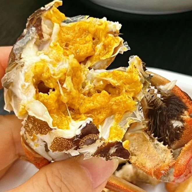 【活蟹】大闸蟹2.5两母蟹8只