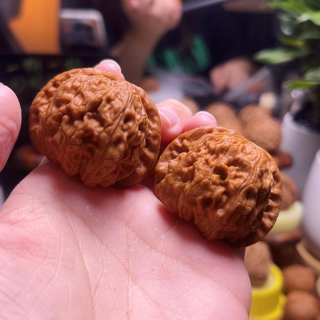 优***美文玩核桃把件41尺白狮子40