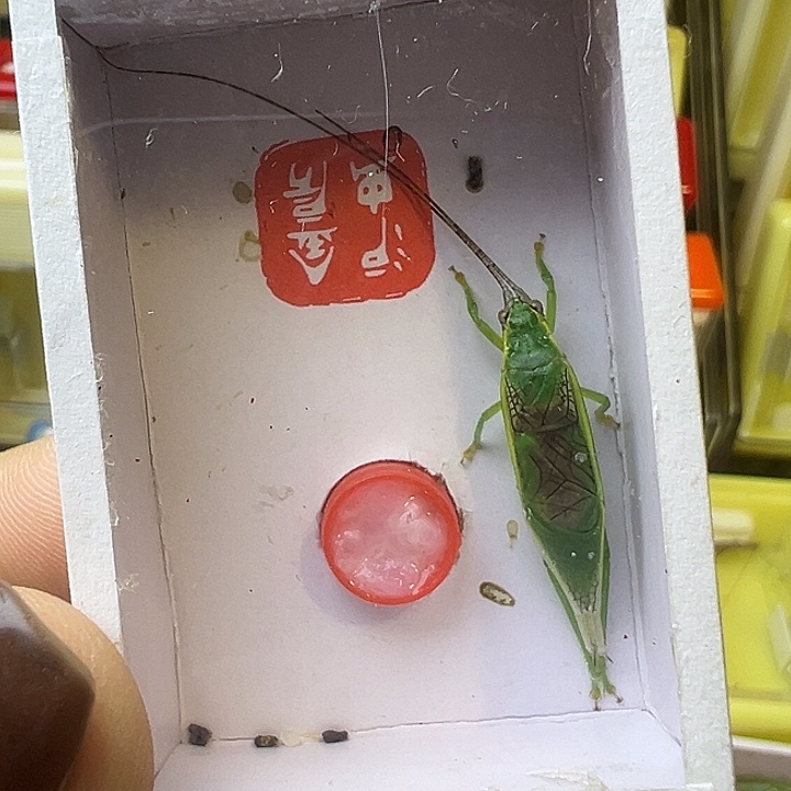 浏***滒哈哈哈哈哈哈哈哈哈哈