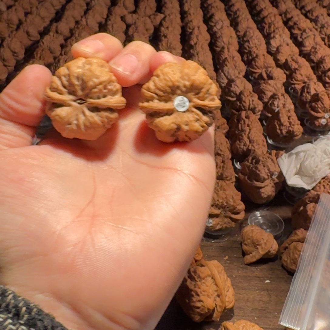 文***弟吊坠文玩核桃蛤蟆的眼睛是真的好看啊我的天