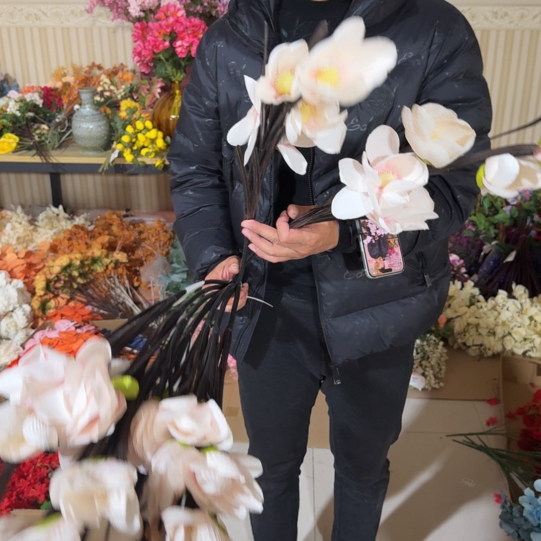 834号粉色玉兰孤品10支