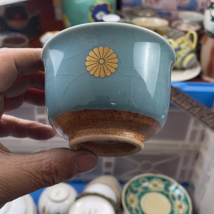 碟开播了开播了开播了