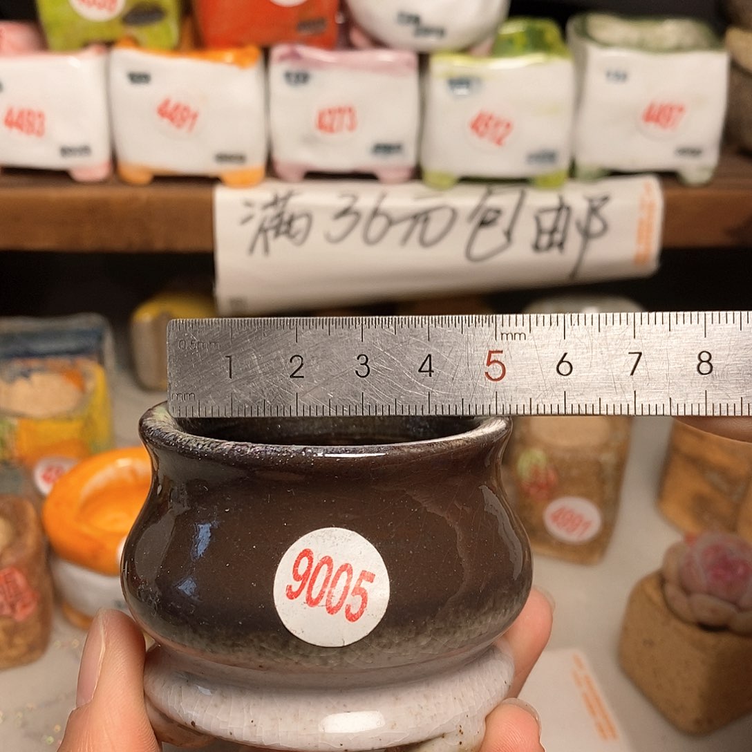 红陶拍5送一个小