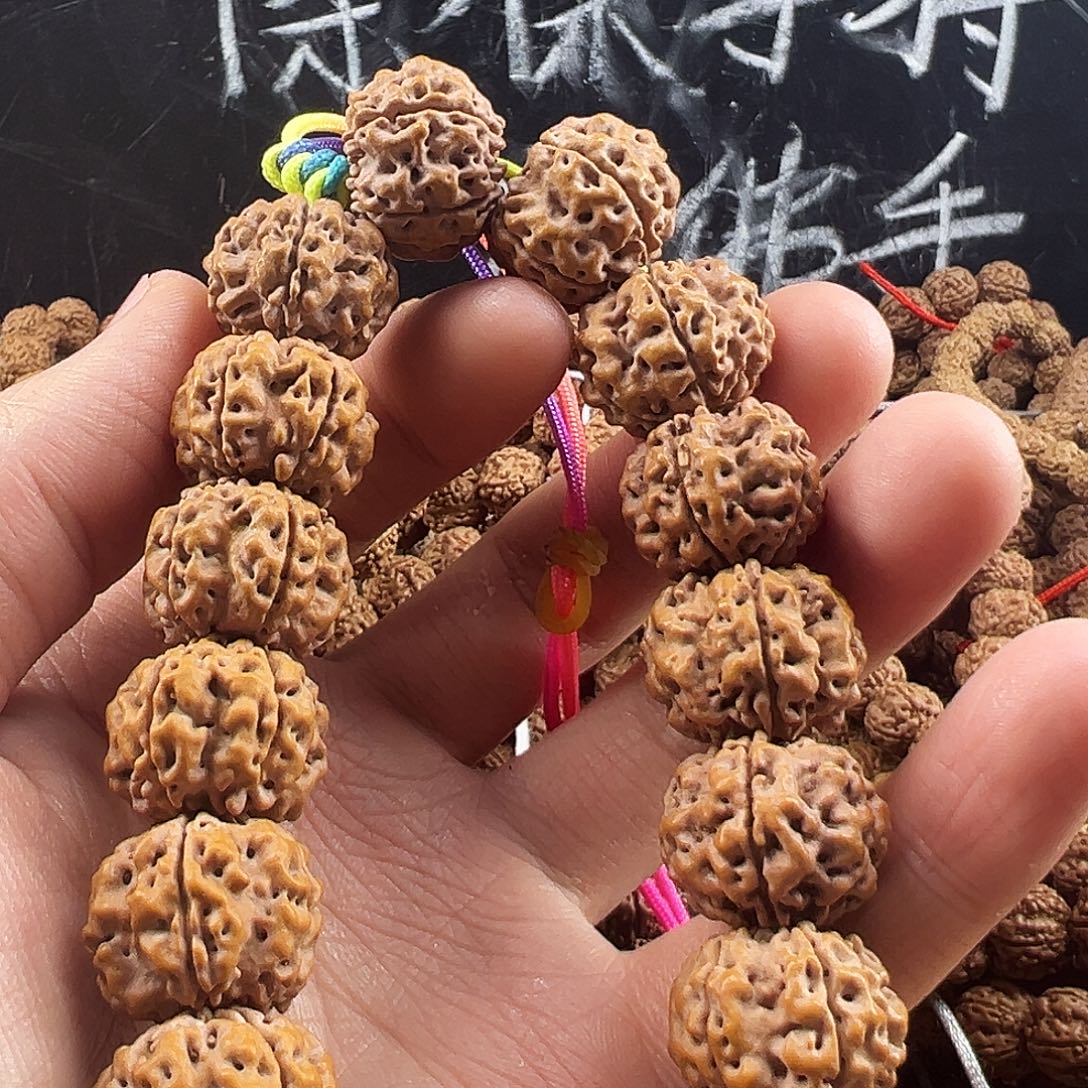 金刚菩提吊坠帝王龙18m手持