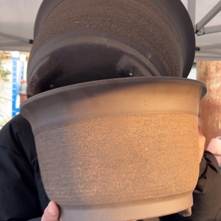 25+25拉毛小马花盆花盆