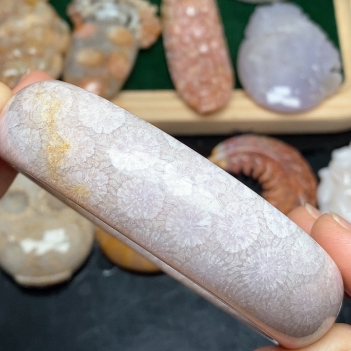 硅化珊瑚（珊瑚玉）手镯未镶嵌61,5