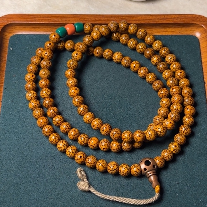 …………………………………………………………