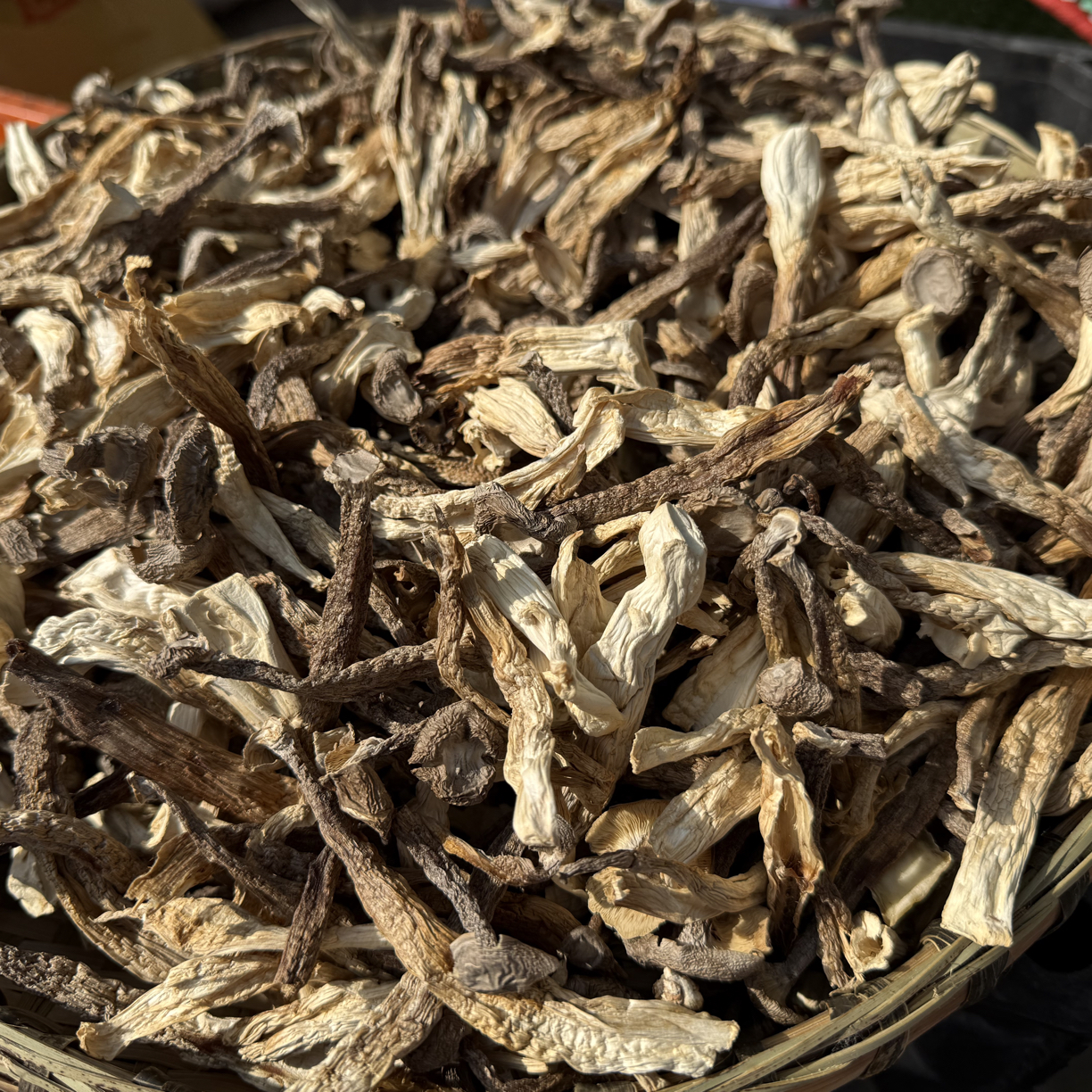 农家自产鹿茸菇干货高山自然晒干可炒菜煲汤干锅