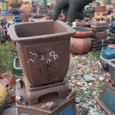 红陶紫砂花盆盆景盆栽