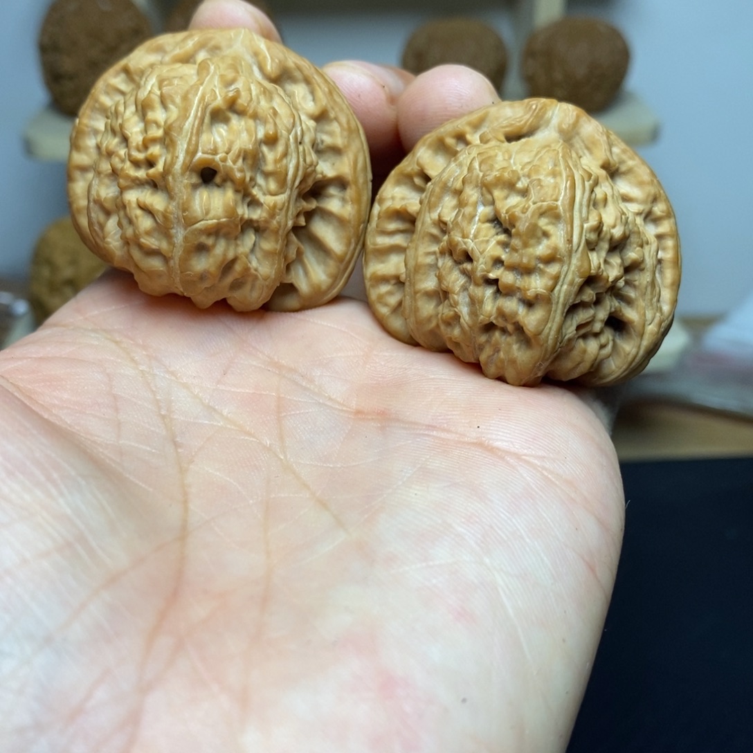 大叶紫檀（黑酸枝木类）42尺寸三角白一对