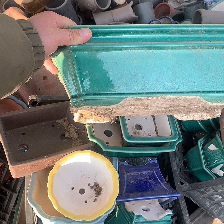 紫砂哈哈真的是太给力太火爆了不是吗综艺节目很多