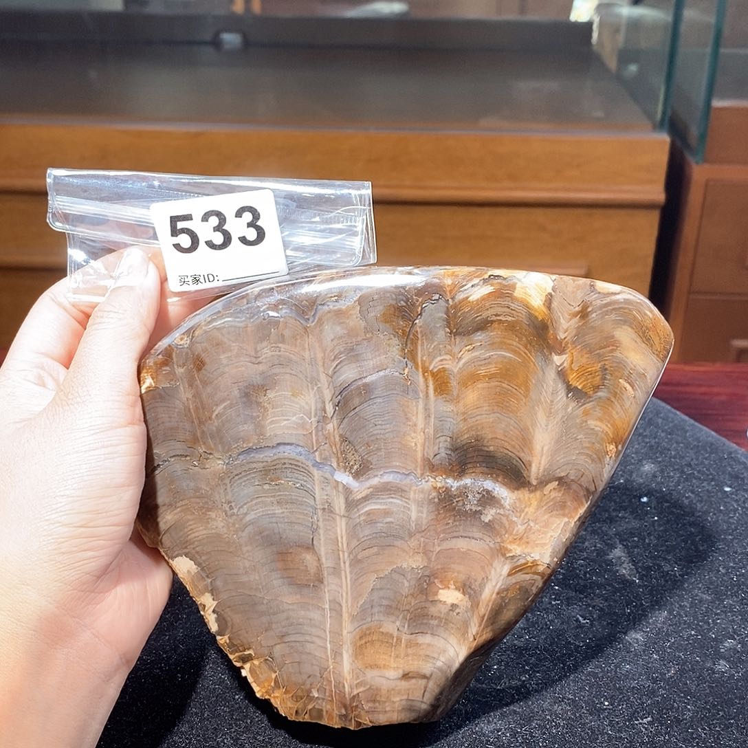 硅化玉天然北票硅化玉原石未镶嵌天然北票硅化玉原石