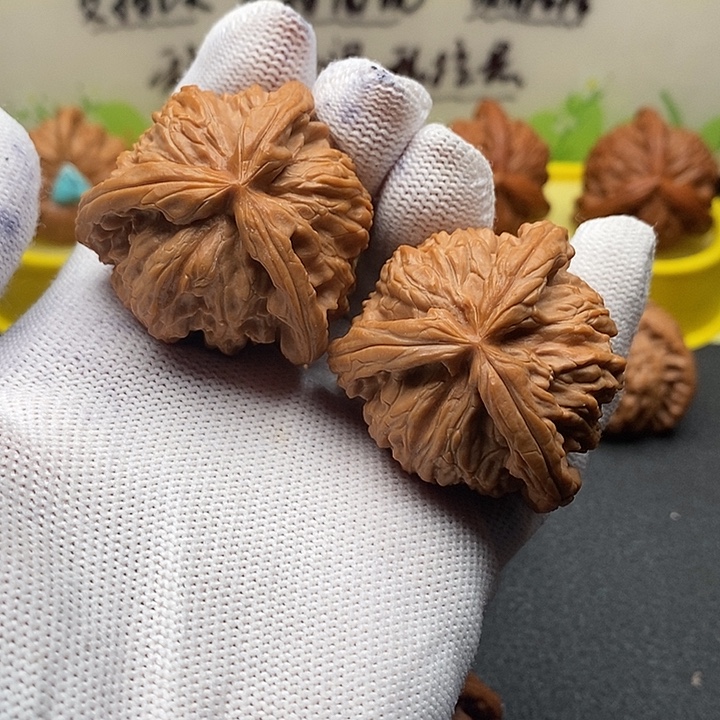 关***事核桃41肉球奔白狮子拼接